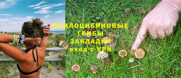 тгк Верея