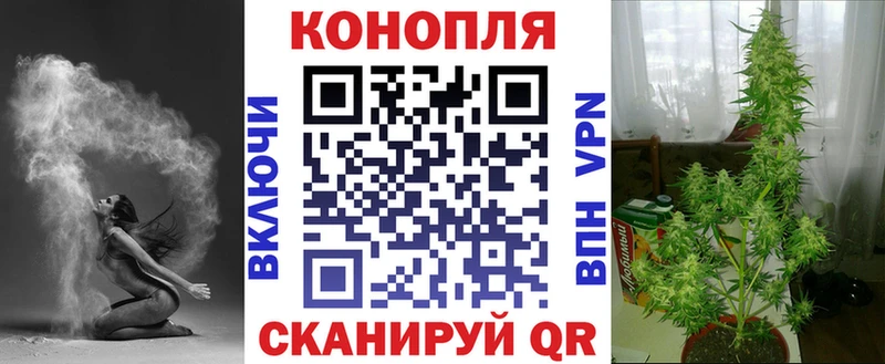 Шишки марихуана гибрид хочу наркоту Березники